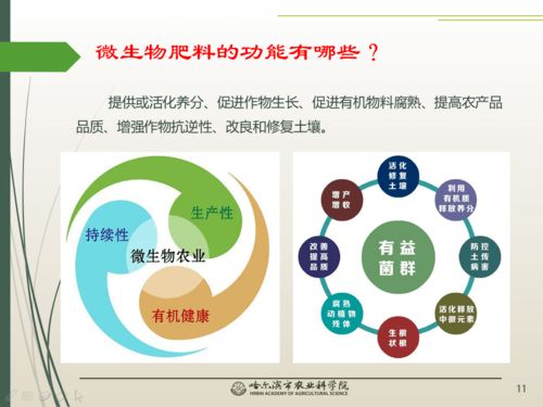 春風吹沃野 科技助農線上課堂之微生物與農業百問百答
